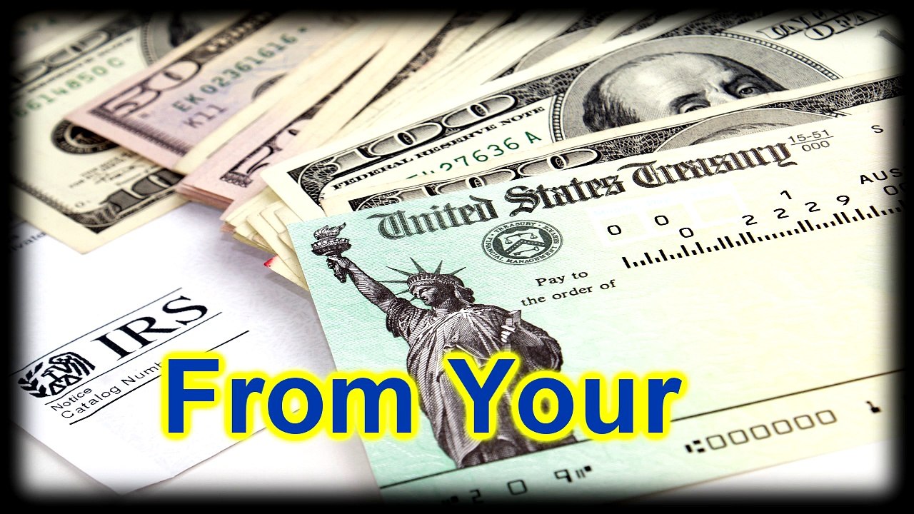 Dogs For Sale Lexington VA | Petopia | 866.738.7972