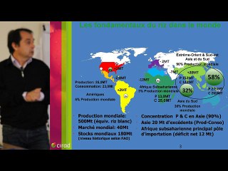 Les perspectives du marché international du riz. Exposé P. Mendez & F. Lançon