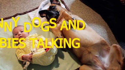 Funny dogs and babies talking - Cute dog & baby compilation/HD/