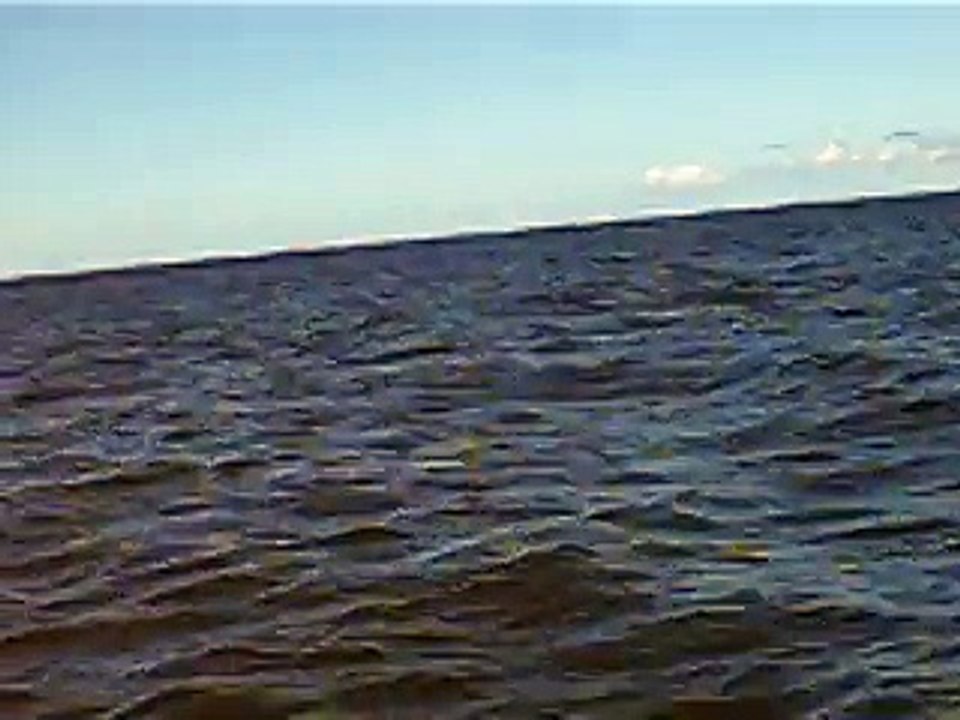 MVI_5955