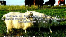 SEO: Success On The World Wide Web