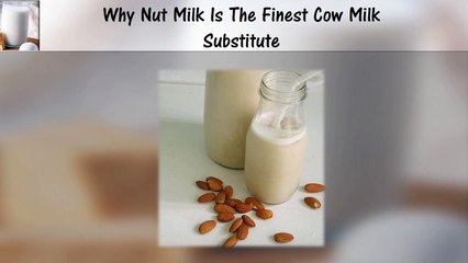 Why Nut Milk Is The Most Excellent Cow Milk Other