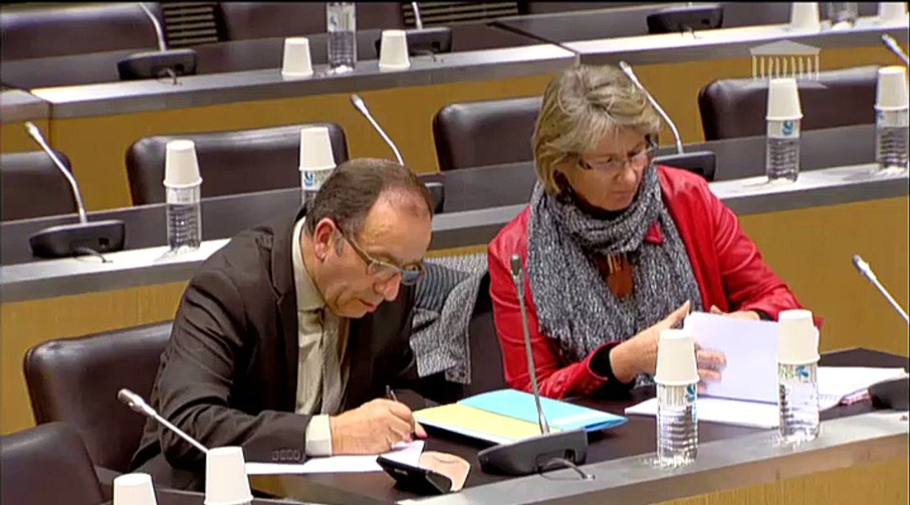 Auditions de MM. Vincent Maillard (DG Budget Telecom), Grégory Lamotte (Comwatt) et Pierre Bivas (Voltalis) - Mercredi 28 Janvier 2015