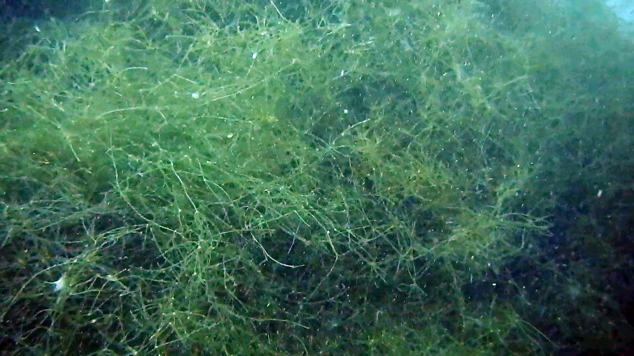 DSCN1123