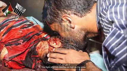 میں فلسطین ہوں  میں فلسطین ہوں