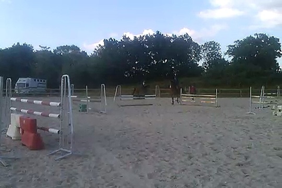 A vendre Jument 7 ans SF. Origine: bleuc blanc rouge/ urbain du monnai N°2