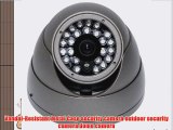 Outdoor Dome Night Vision IR CCD Security Camera 560TVL High Resolution by Great Wing