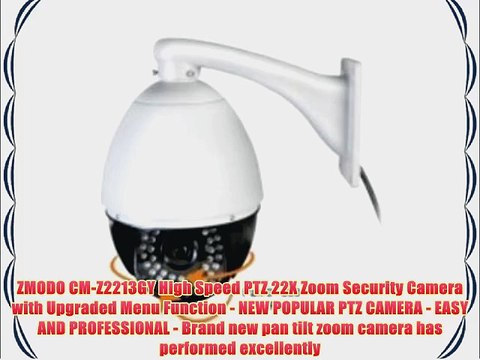 Z2213GY Surveillance/Network Camera - Color
