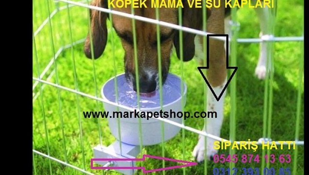 köpek su kapları,köpek mama su kapları,mama kabı fiyatı,mama kabı fiyatları,mama kapları fiyatı,mama kapları fiyatları