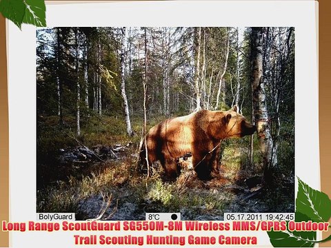Long Range ScoutGuard SG550M-8M Wireless MMS/GPRS Outdoor Trail Scouting Hunting Game Camera