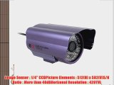 PAL 3.6mm Lens 48 LEDs Outdoor Security IR 1/4 CCD CCTV Camera