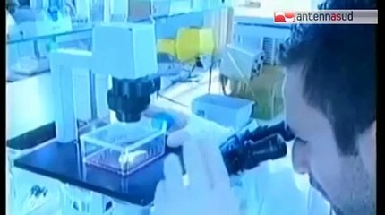 TG 29.01.15 TG 29.01.15 Influenza: 4 morti e un appello dei medici: "Vaccinatevi"