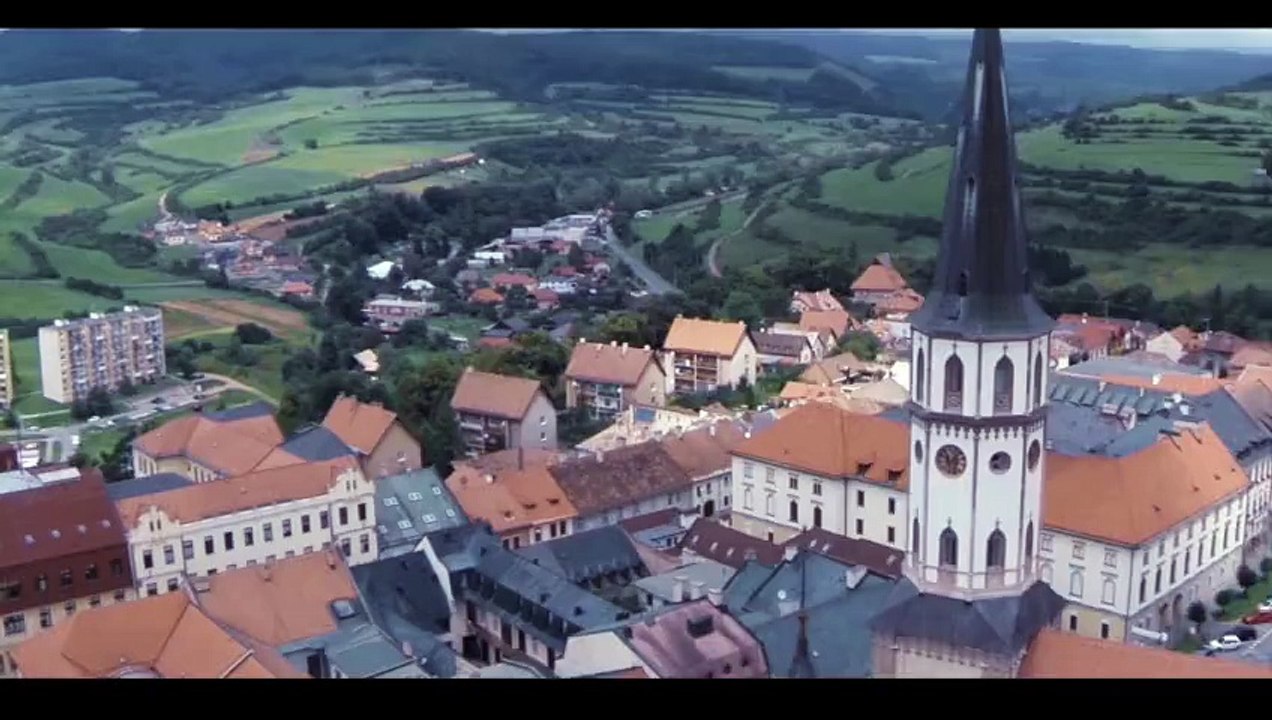 Celebrities living statues