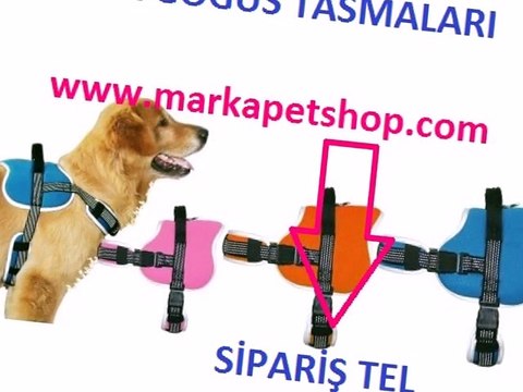 ,GEZDİRME TASMASI FİYATLARI,GEZDİRME TASMALARI FİYATI,GEZDİRME TASMALARI FİYATLARI