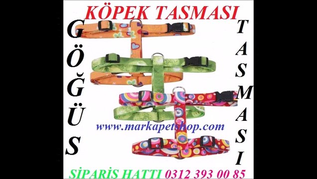 gezdirme tasmaları fiyatları,köpek gezdirme tasması ankara,köpek gezdirme tasması İstanbul,KÖPEK GEZDİRME TASMASI