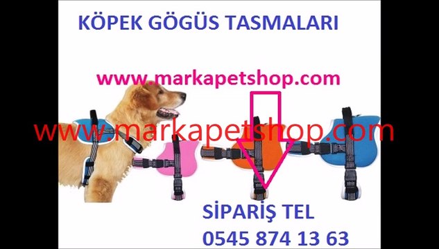 gezdirme tasmaları,gezdirme tasmaları fiyatı,gezdirme tasmaları fiyatları