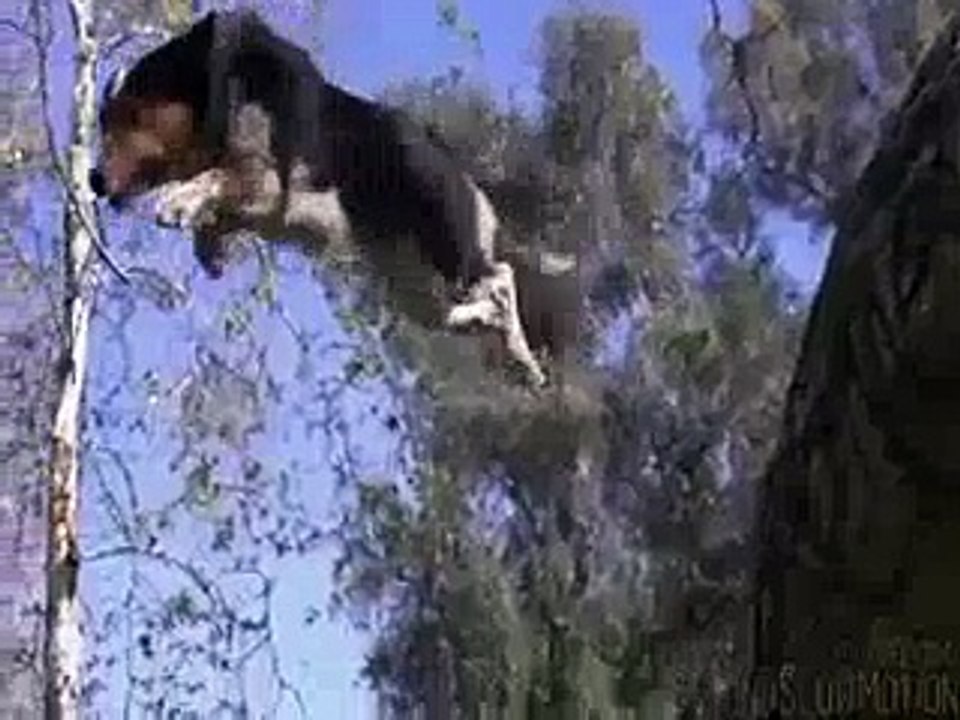 Beyond Slow Motion (funny video)