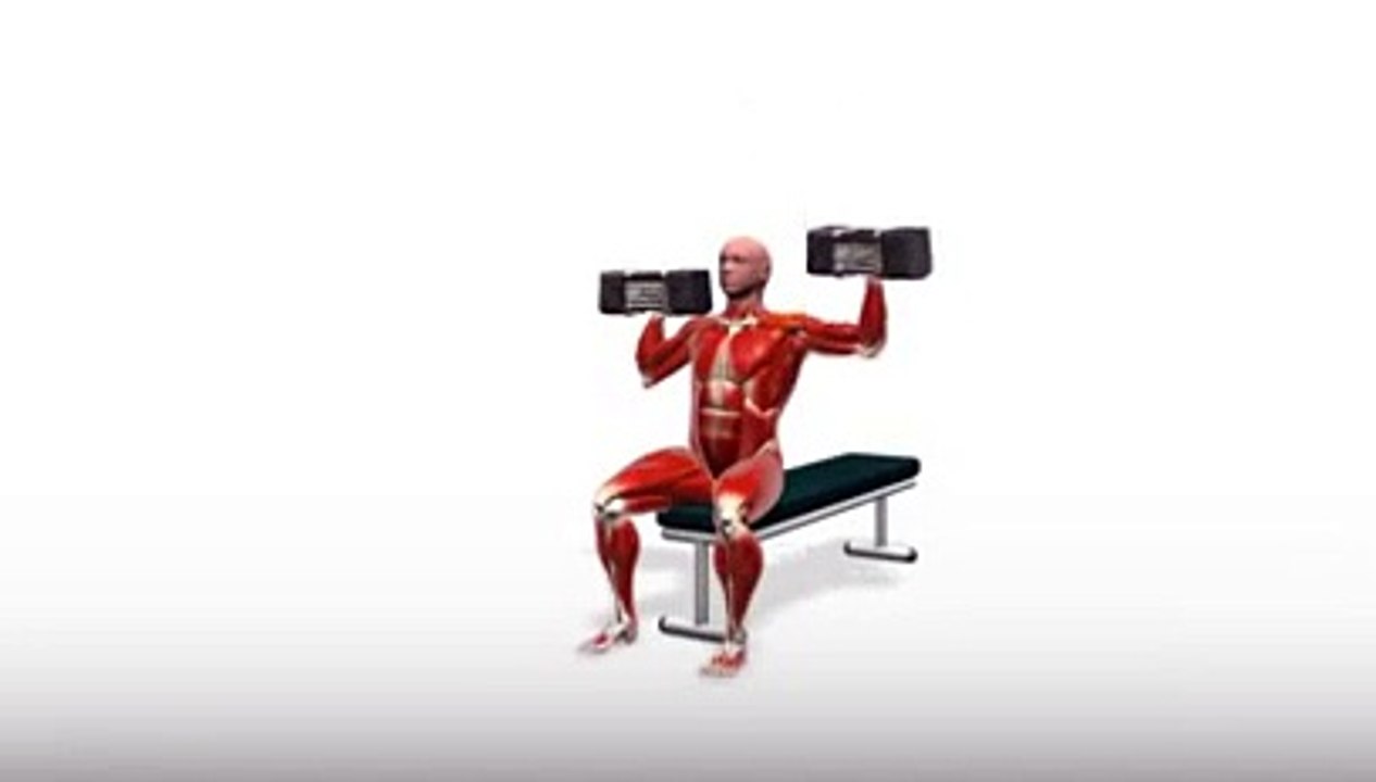Workout Manager - Alternating PowerBlock Press (Shoulders Exercises)