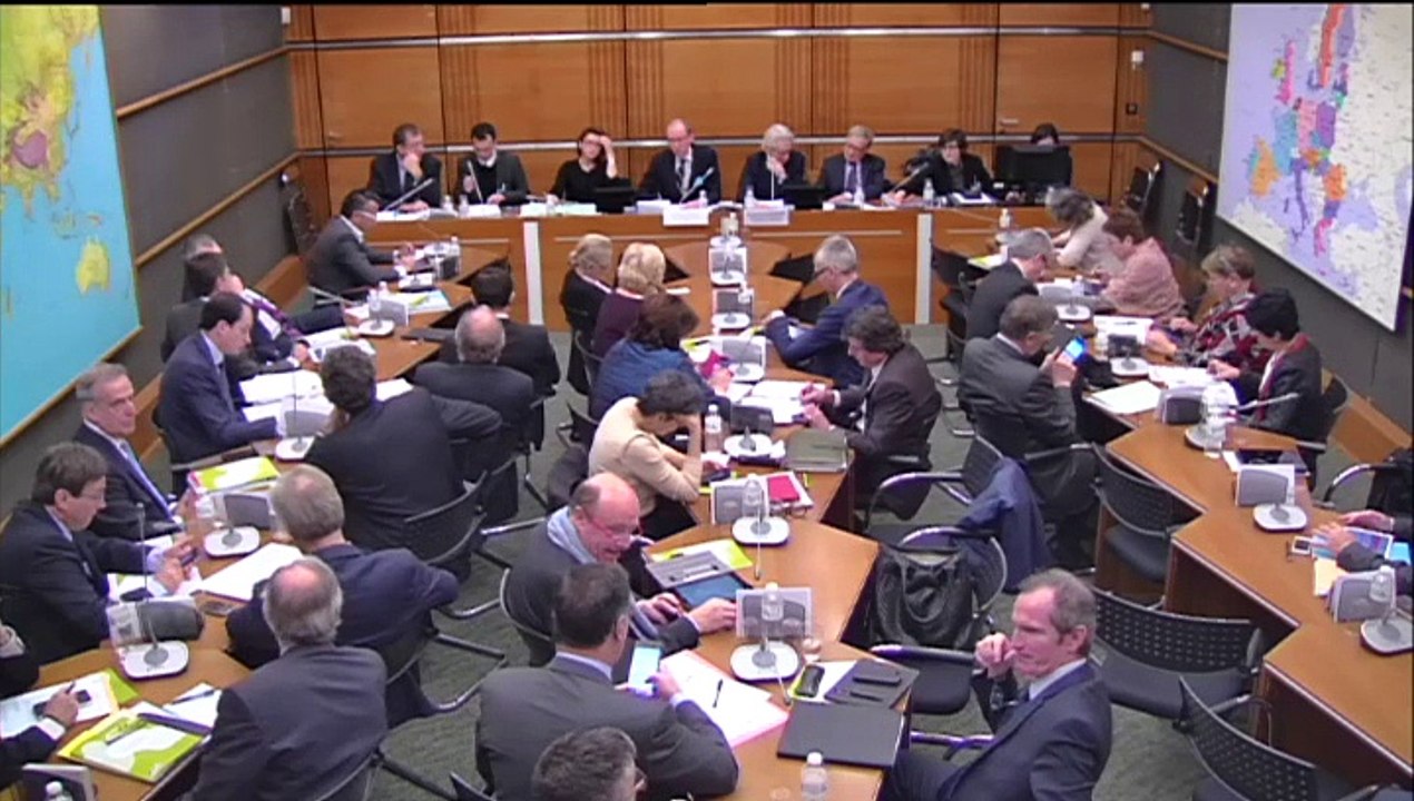 28.01.2015: Commission du développement durable - Audition de Jacques Moineville, DG Adjoint de l'Agence Française de Développement