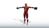 Workout Manager - PowerBlock Lateral Raise - Standing (Shoulders Exercises)
