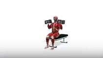 Workout Manager - PowerBlock Press (Shoulders Exercises)