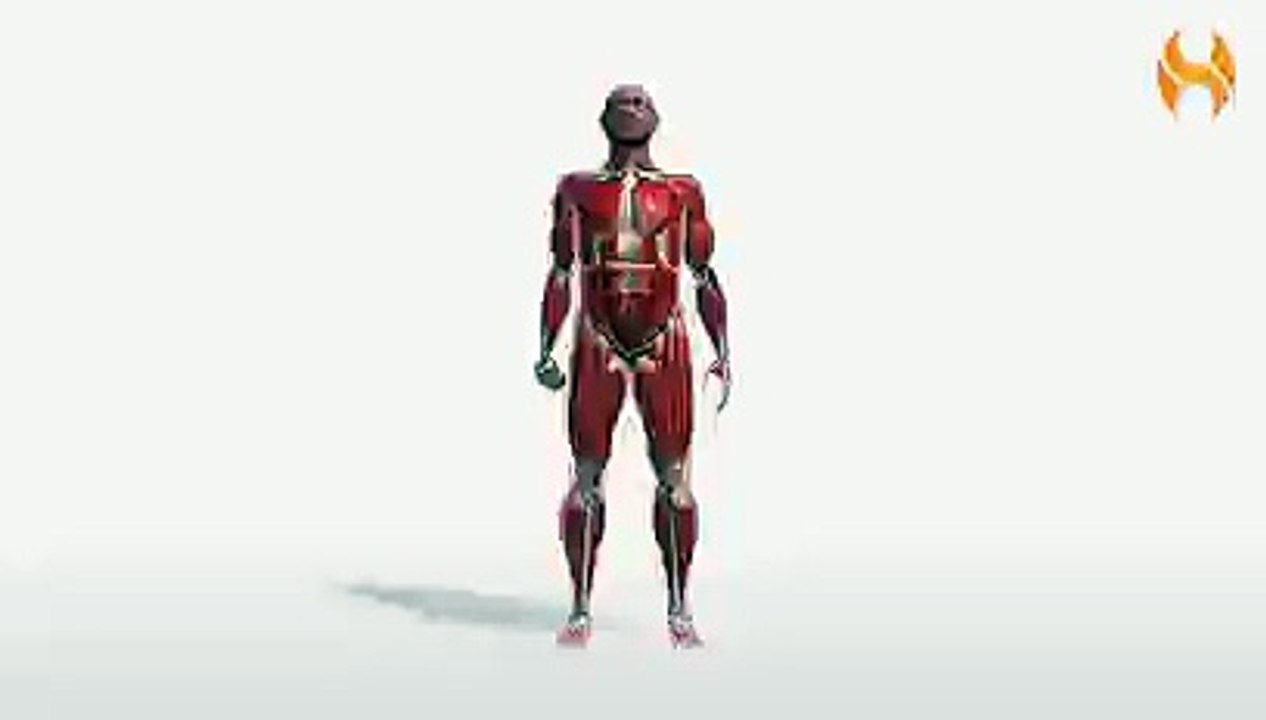 Workout Manager - Single-arm Dumbbell Lateral Raise - Standing (Shoulders Exercises)