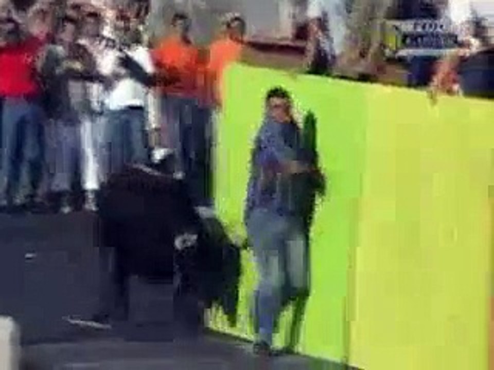 Bull Fights(funny video)