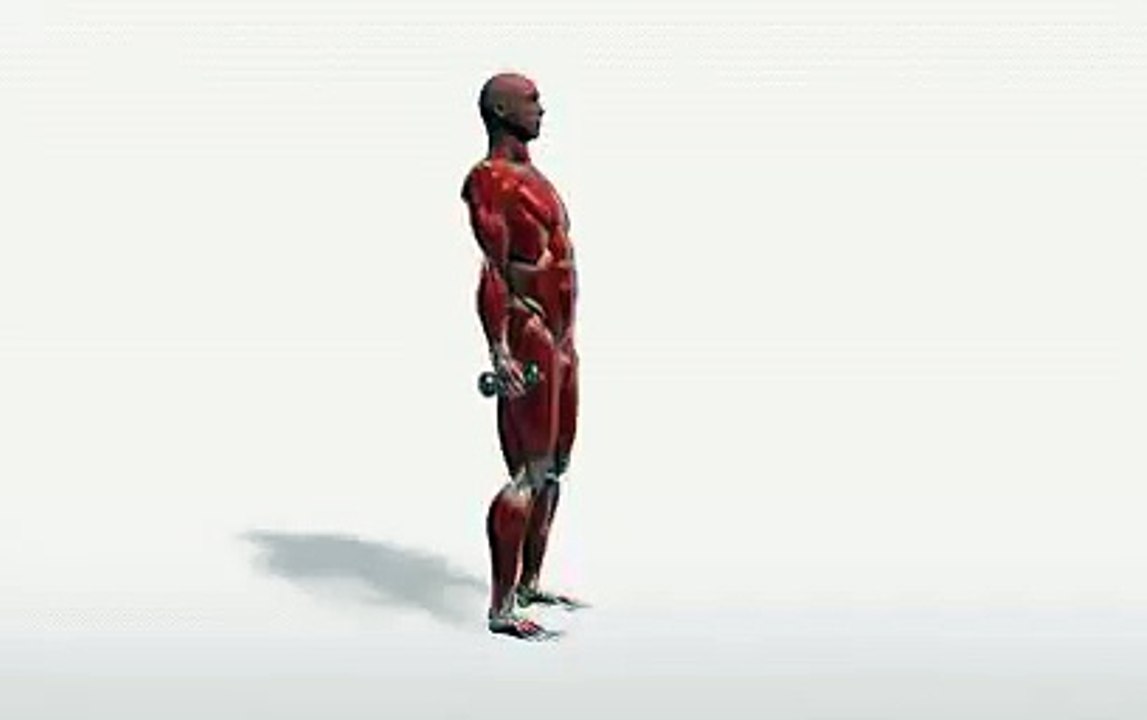 Workout Manager - Single-arm Dumbbell Shoulder Flexion - Standing (Shoulders Exercises)