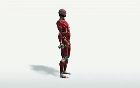 Workout Manager - Single-arm Dumbbell Shoulder Flexion - Standing (Shoulders Exercises)