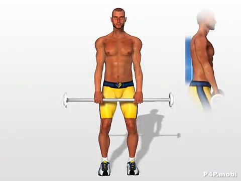 Shoulders Exercises