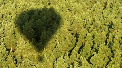 Balonla Rekor Üzerine Rekor Kırdılar