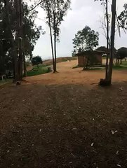 MeteoReporter Cagliari 29/01/2015