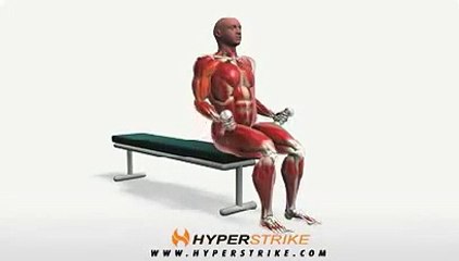 Workout Manager - Curl - Seated (Biceps Exercises)