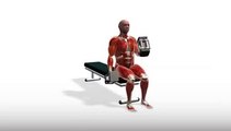 Workout Manager - PowerBlock Hammer Curl - Seated (Biceps Exercises)