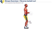 Workout Manager - Reverse Barbell Curls (Biceps Exercises)
