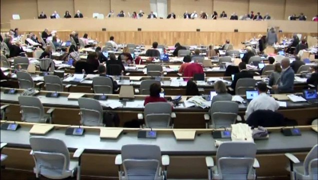 Intervention de Sarah BOUKAALA - Jeudi 29 Janvier 2015 - Réponse à l'amendement déposé par le FN concernant la ligne M'RA Culture, Sport, Prévention, Santé