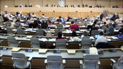 Intervention de Sarah BOUKAALA - Jeudi 29 Janvier 2015 - Réponse à l'amendement déposé par le FN concernant la ligne "M'RA Culture, Sport, Prévention, Santé"