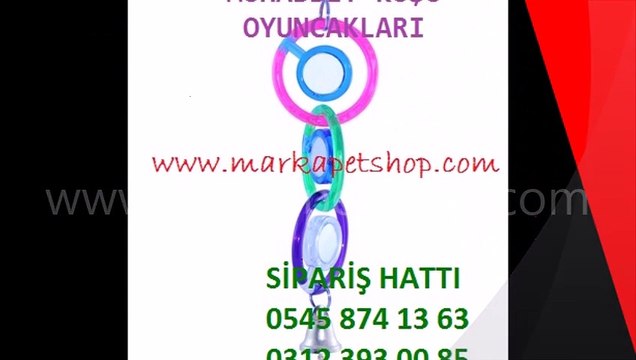 Kuş oyuncağı,kuş oyuncakları,kuş tüneği,kuş tünekleri,en ucuz kuş oyuncakları