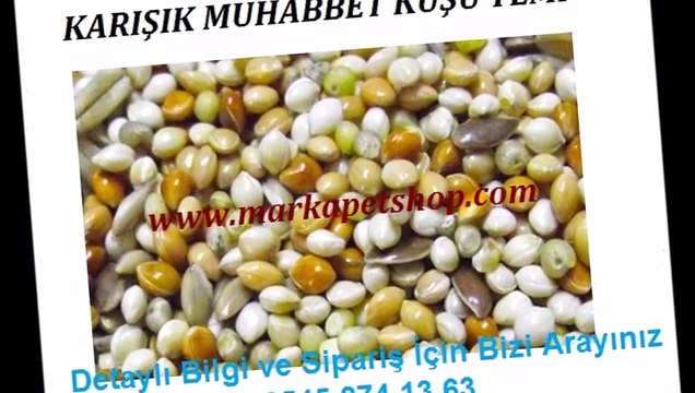 Muhabbet yemi,muhabbet yemleri,muhabbet kuş yemi,muhabbet kuşu yemleri