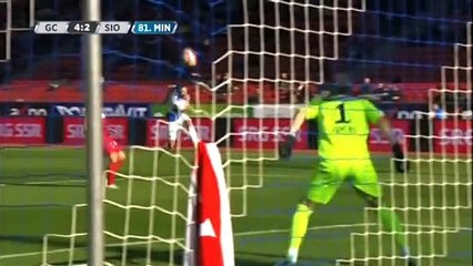 Shkelzen Gashi _ 19 Goals-Topscorer