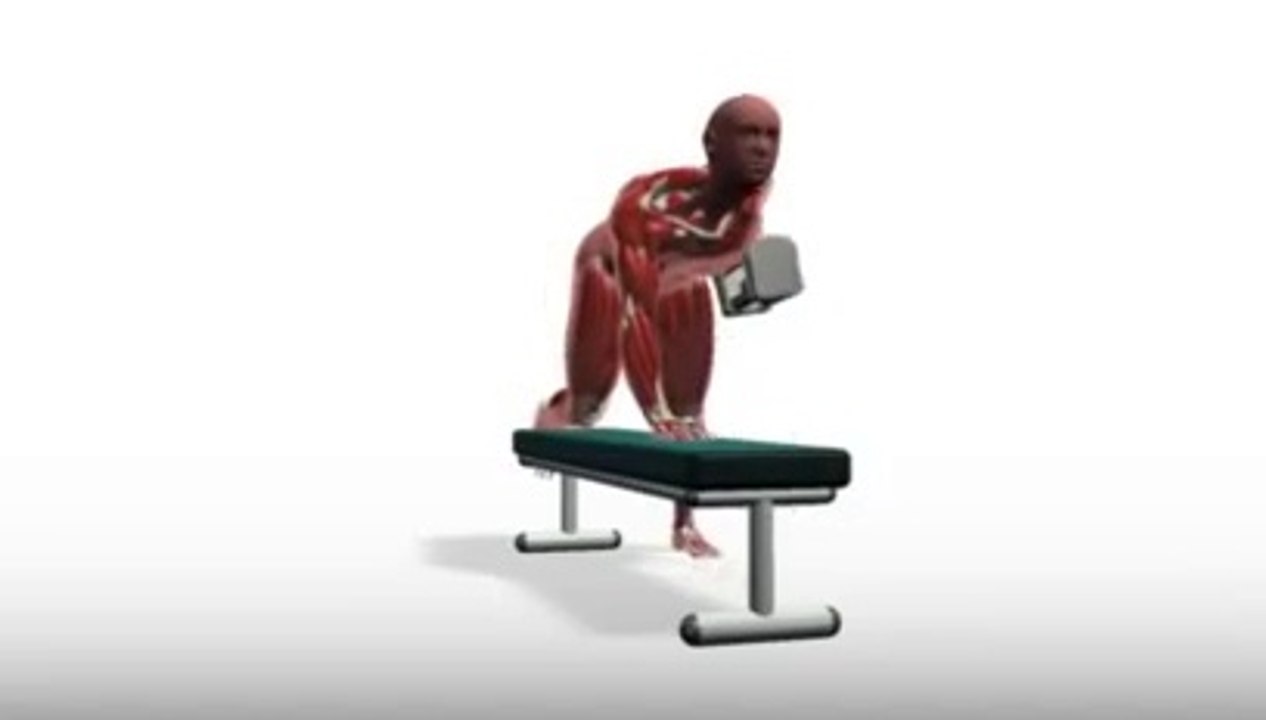 Workout Manager - One-Arm Dumbell Rows (Back Exercises)