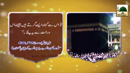 Download Video: Madani Phool - Namaz Ke Ahkam 28 - Namaz Ki Fazeelat