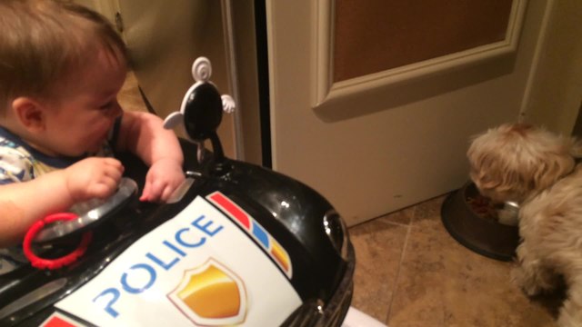 Baby laughs hysterically at dog eating food