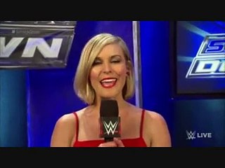 Renee Young interviews Paige (29-1-15)