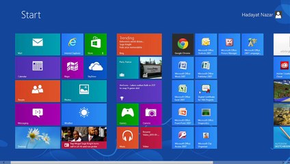Flower Life Cycle (Reproduction)