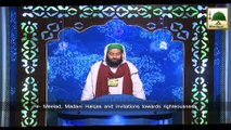News Clip-05 Dec - Ijtimaat-e-Milad Aur Charaghan Ki Madani Khabar