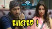 Bigg Boss 8: Ali Mirza And Dimpy Ganguly Are Evicted | Top 3 Revealed !!