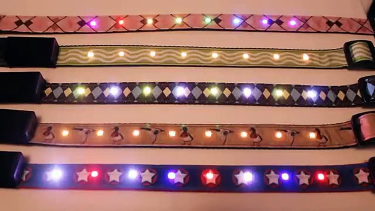 iOSAndroid Programmable Dog Collar