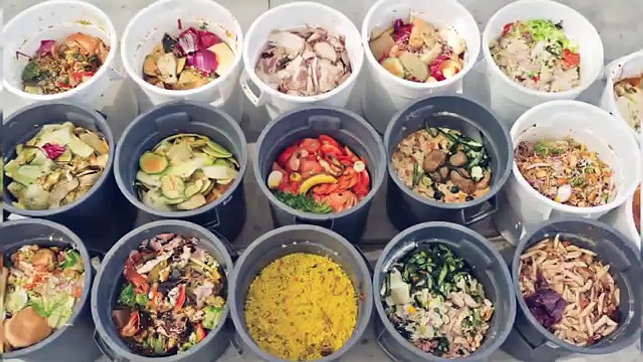 Transform uneaten food into nutrient-dense compost in just 5 days!
