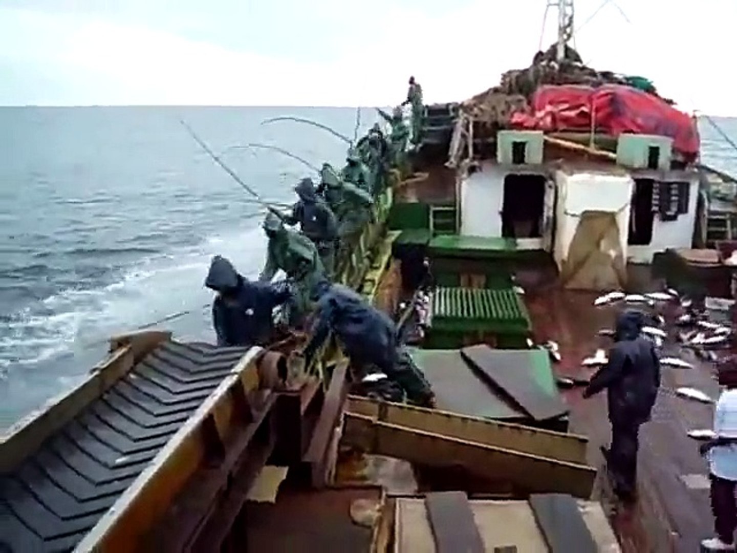 ⁣Amazing amazing fish hunting